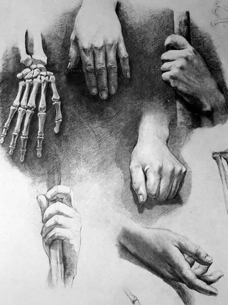 广州美术培训画室,广州美术培训,广州艺考画室,48