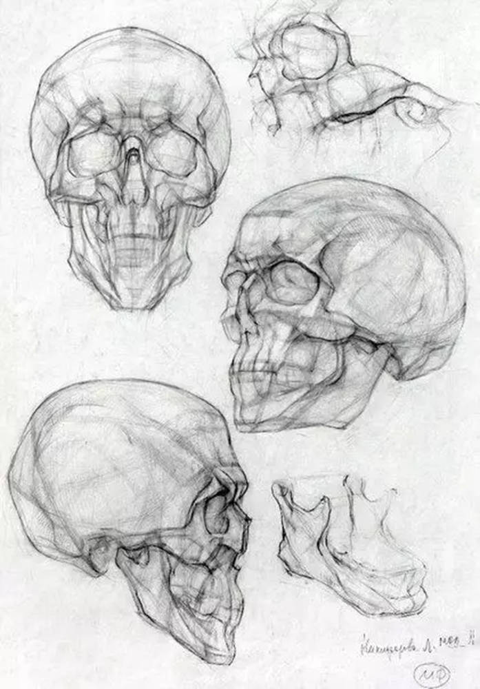广州画室排名前十画室给你一组适合零基础临摹的素描教程,50