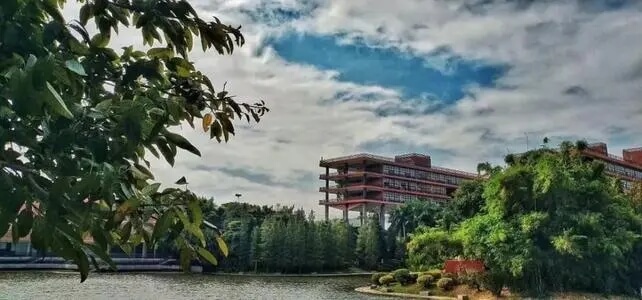 广州画室寒假班