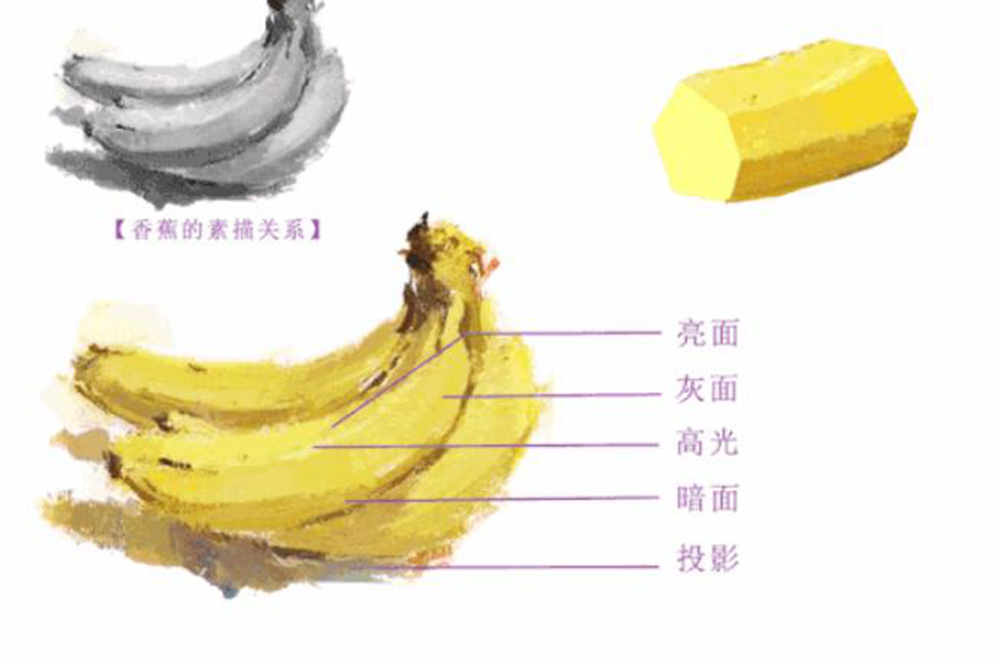 广州画室,广州美术画室,广州美术校考画室,02