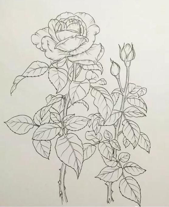 广州美术培训画室,广州美术培训班,广州绘画培训,10