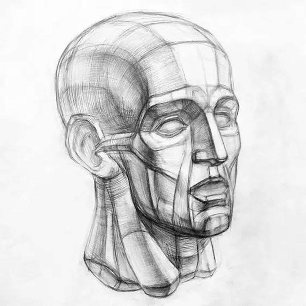 广州画室排名前十画室给你一组适合零基础临摹的素描教程,37