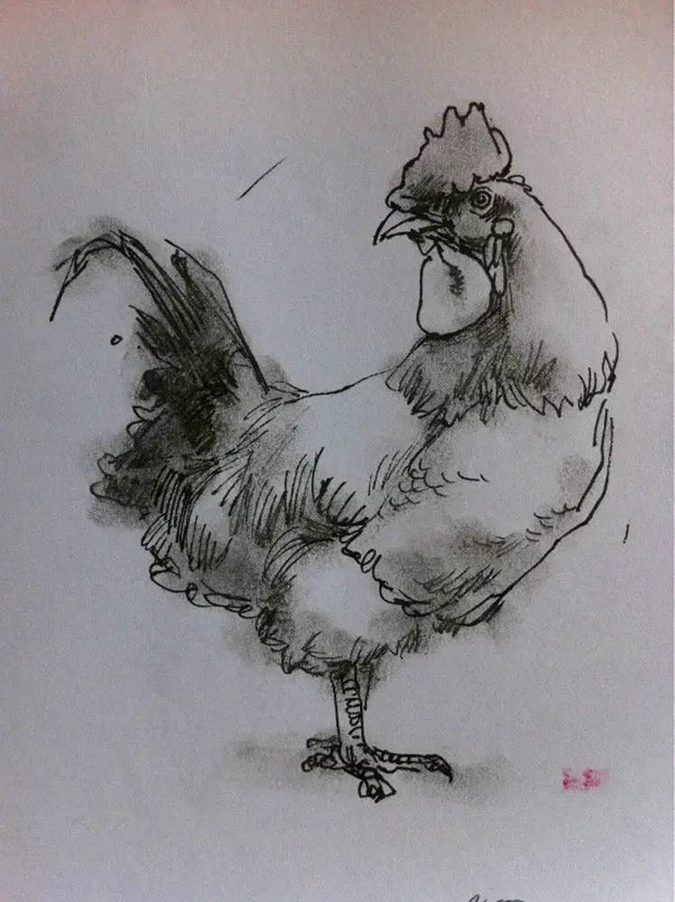 如果你正在学习线描速写，广州艺考画室觉得这52幅作品正合适你,25