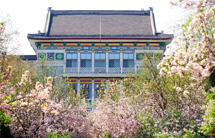 广州美术高考班将承认联考成绩的83所院都整理处理了,42