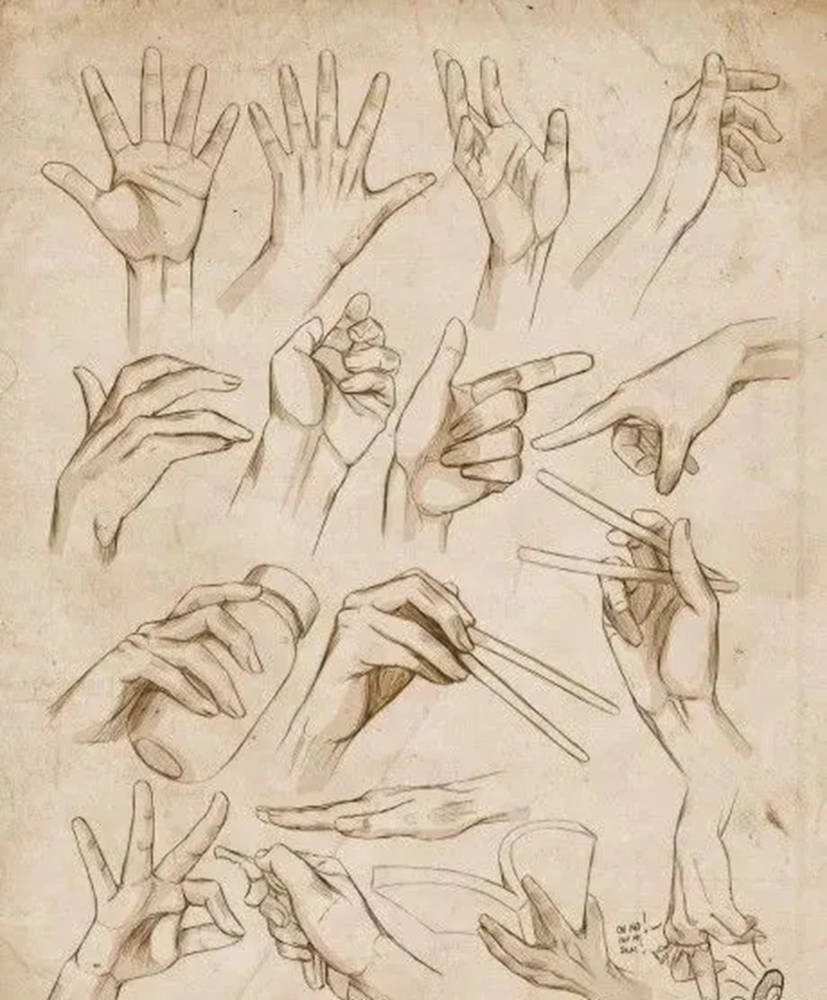 广州美术培训画室,广州美术培训,广州艺考画室,07