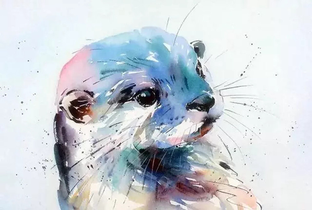 这样的动物水彩画广州排名前十画室觉得不能忍住笑,01