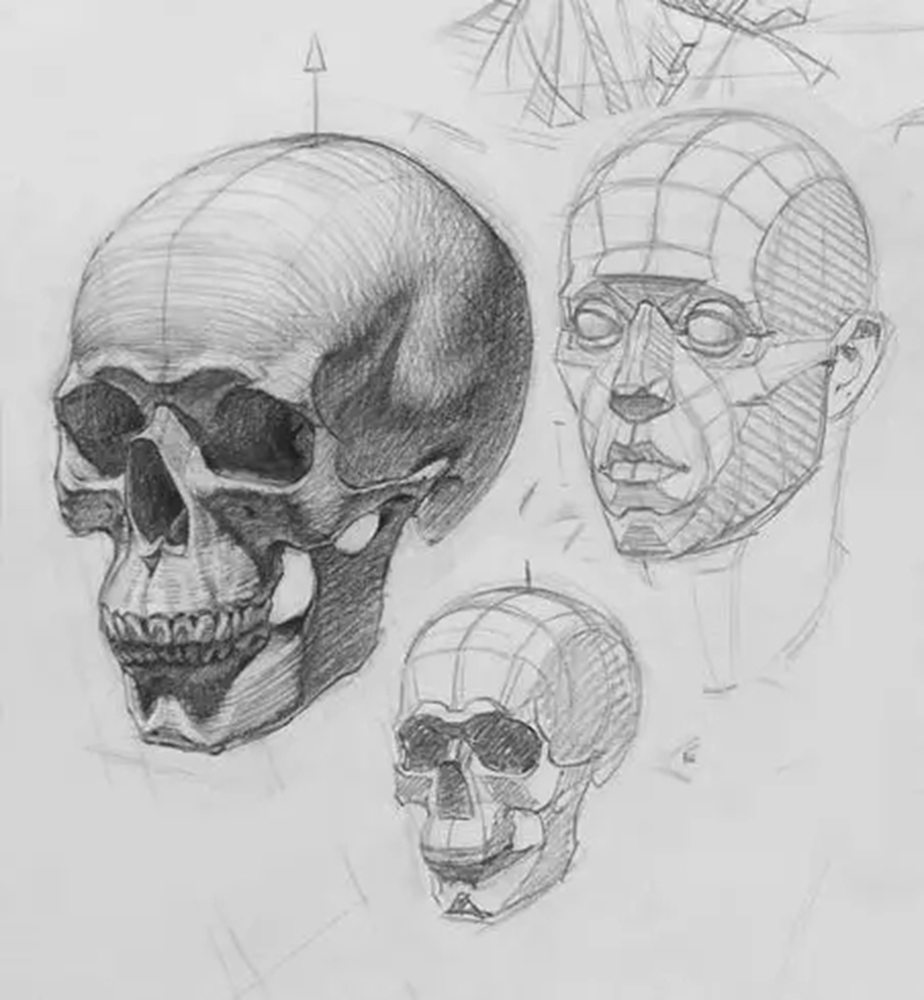 广州画室排名前十画室给你一组适合零基础临摹的素描教程,52
