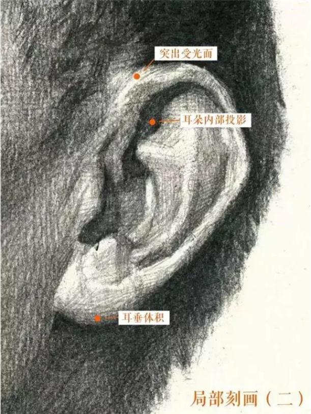 广州排名前十画室给你整理的干货|教你画一张高分素描头像,10