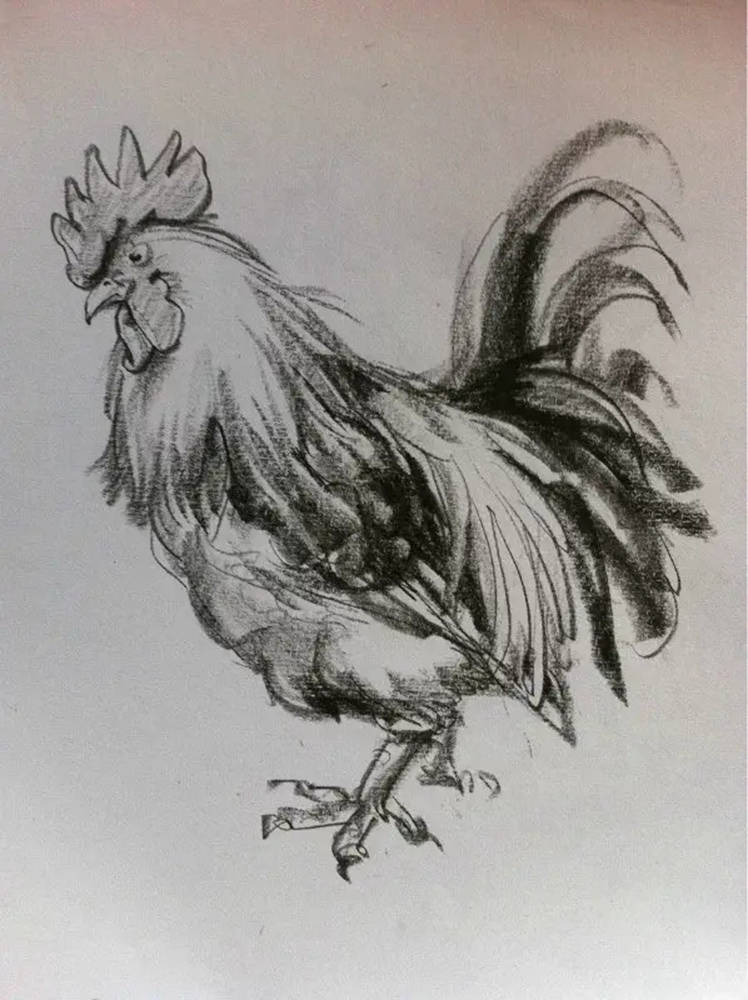 如果你正在学习线描速写，广州艺考画室觉得这52幅作品正合适你,33