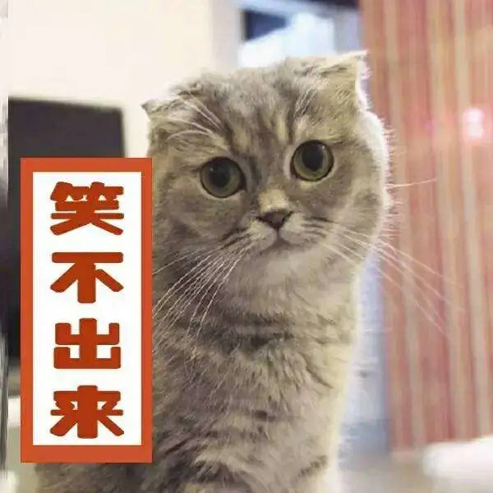 广州画室,广州绘画培训,广州艺考画室,01