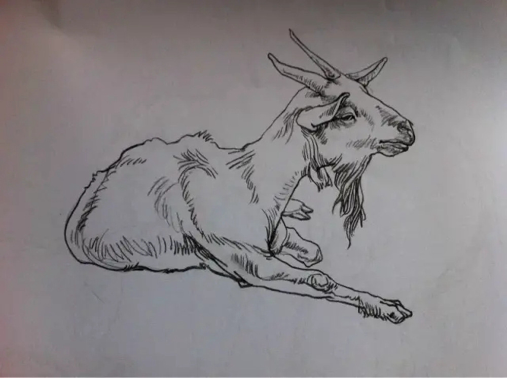 如果你正在学习线描速写，广州艺考画室觉得这52幅作品正合适你,30
