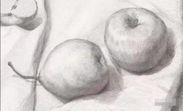 广州画室排名前十的画室告诉你素描静物常见问题怎么解决,02