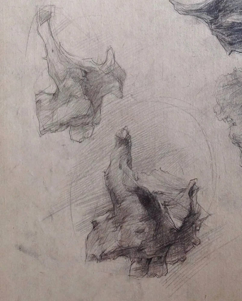 广州画室排名前十画室带你看看真正的素描高手，造诣一流,45