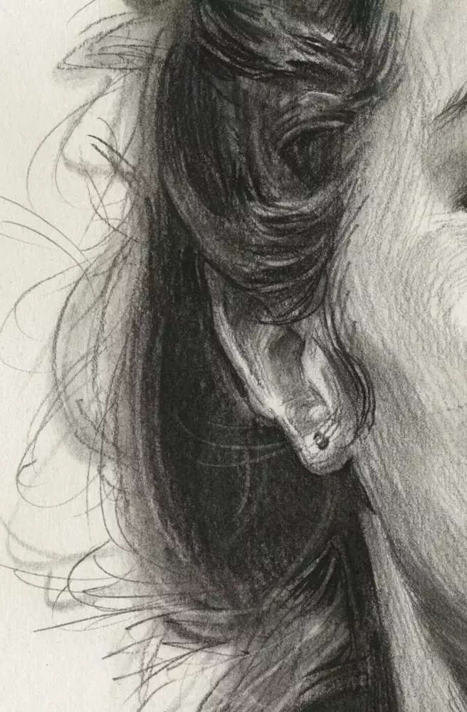 广州画室排名前十画室教学｜教你如何刻画扎大麻花辫的外国女青年,15