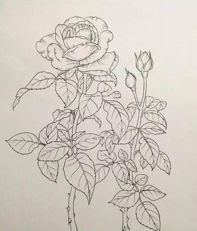 广州美术培训画室,广州美术培训班,广州绘画培训,09