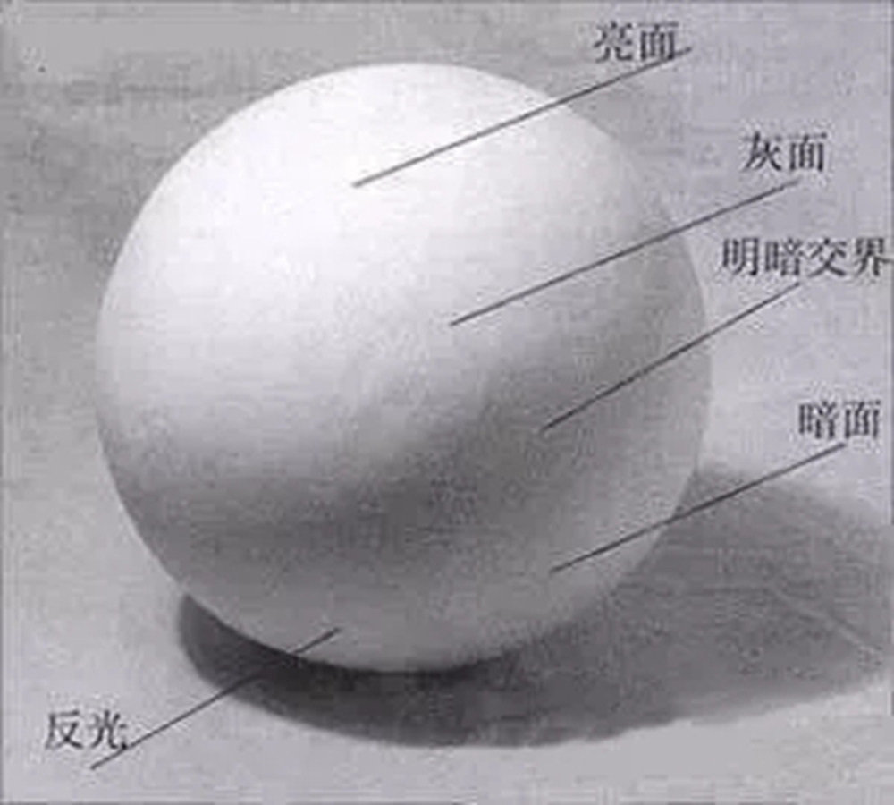 广州画室排名前三画室教你素描初学入门怎样画明暗交界线,01