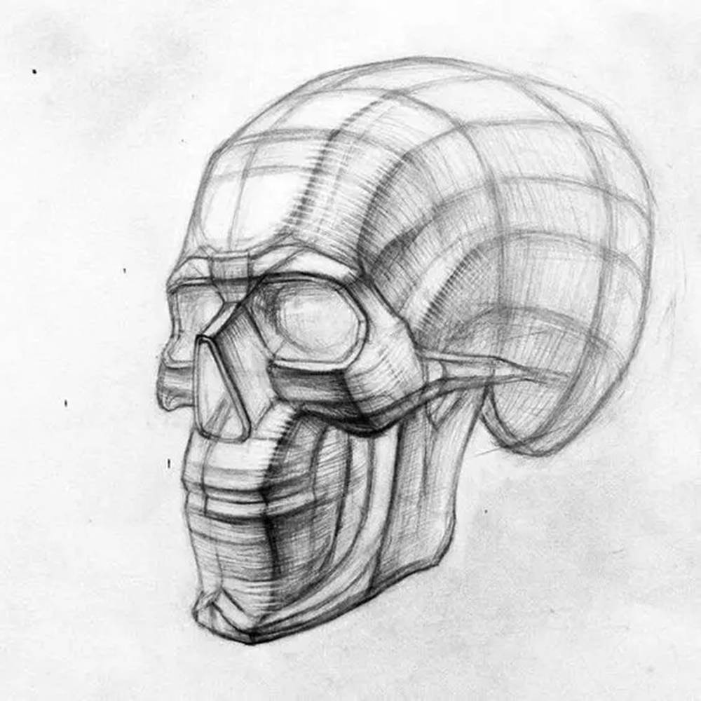 广州画室排名前十画室给你一组适合零基础临摹的素描教程,45