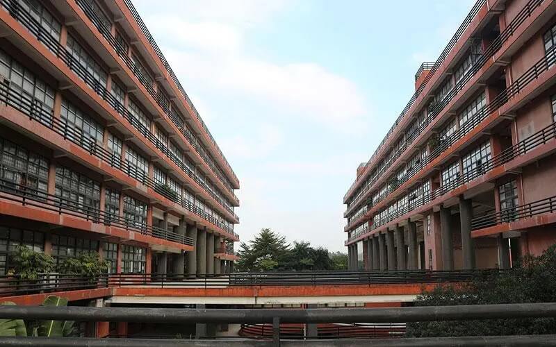 广州美术培训
