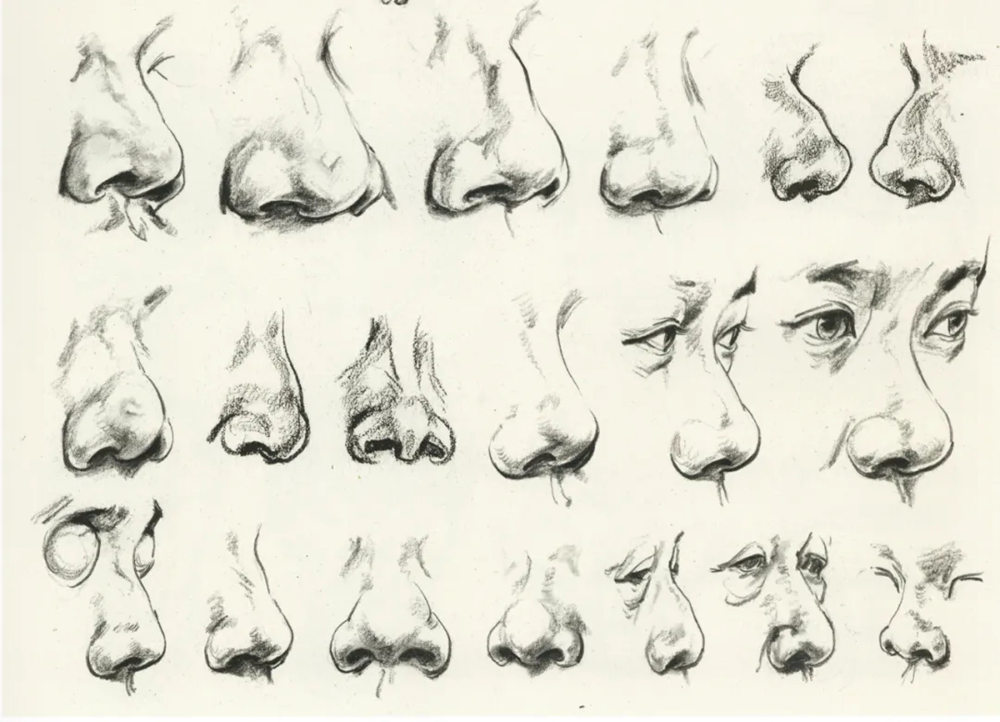 广州前十画室超强干货丨速写局部之眼耳鼻嘴的刻画,11