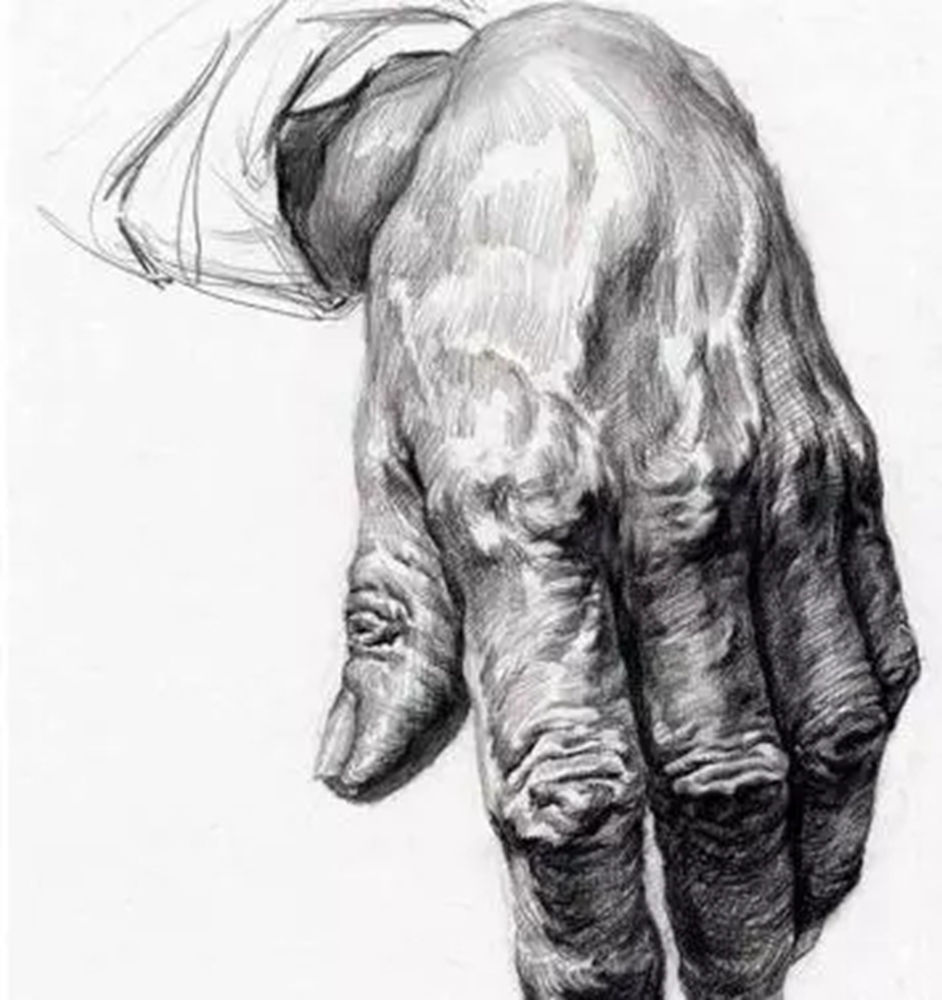 广州美术培训画室,广州美术培训,广州艺考画室,25