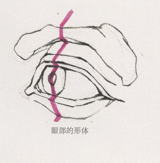 广州美术培训画室整理的速写五官局部之眼睛的画法,04