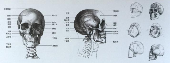 广州画室速写知识,广州速写美术培训,广州速写培训技巧,06